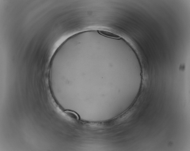 X0000110681102200907021904