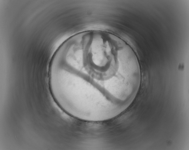 X0000110681103200907021904