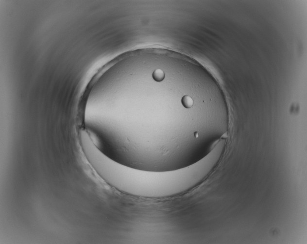 X0000110681104200907021904