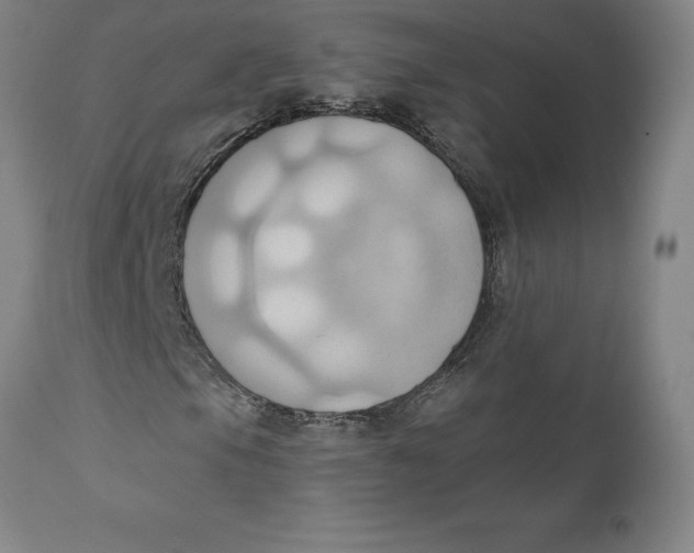 X0000110681105200907021903