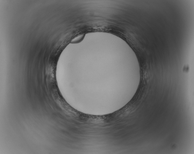 X0000110681106200907021903