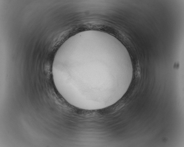 X0000110681108200907021903