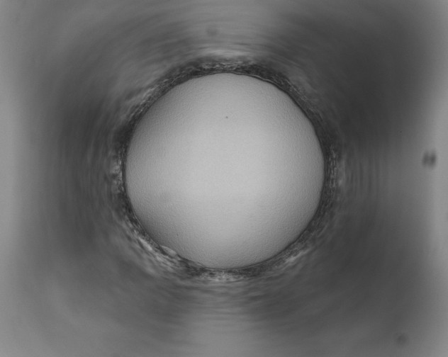 X0000110681109200907021903