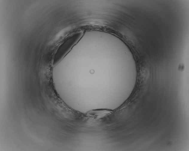 X0000110681110200907021903