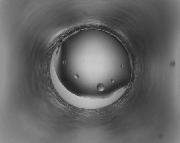 X0000110681112200907021903