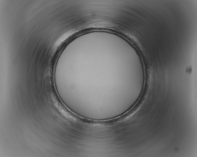 X0000110681114200907021903