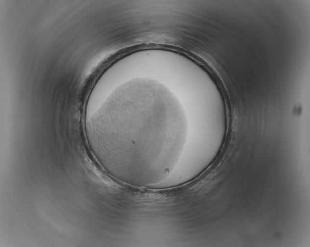 X0000110681115200907021903