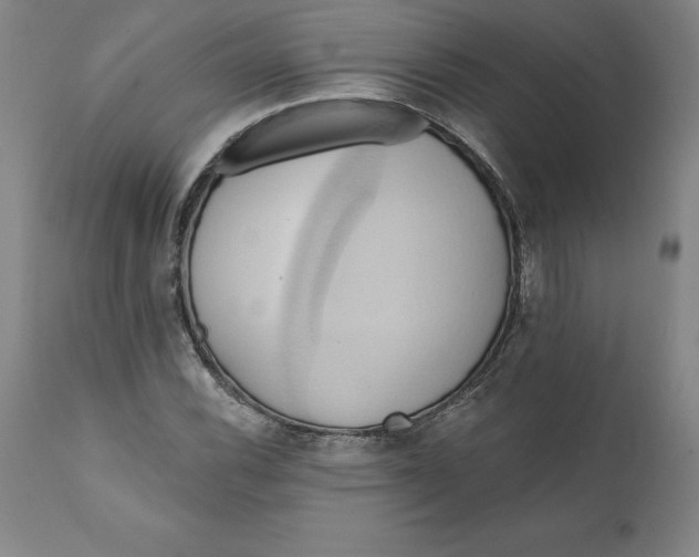 X0000110681116200907021903