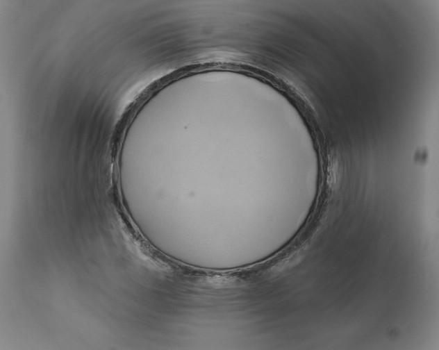 X0000110681117200907021903