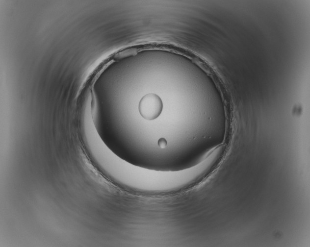 X0000110681118200907021903