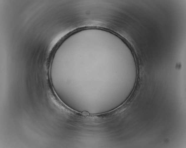 X0000110681120200907021903