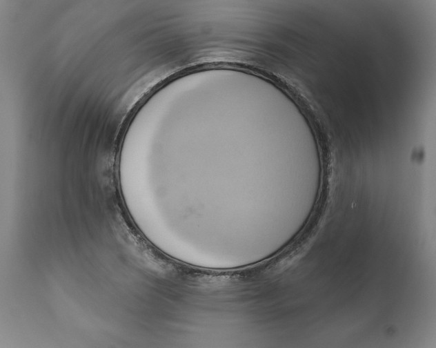 X0000110681121200907021903