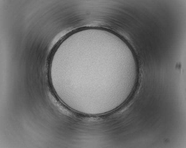 X0000110681122200907021903