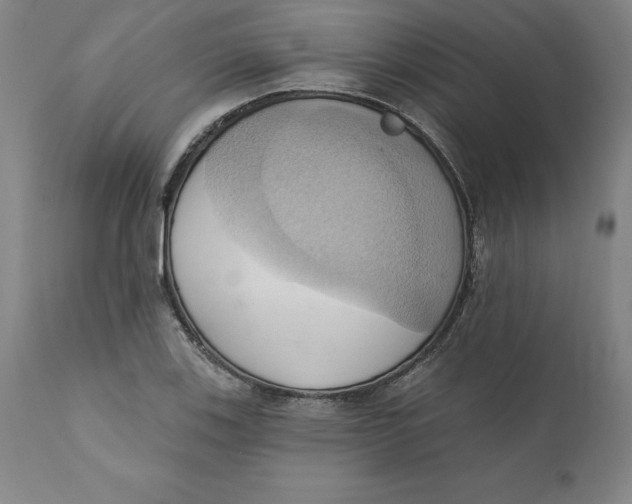 X0000110681123200907021903