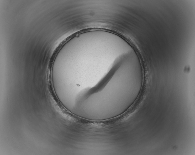 X0000110681125200907021904