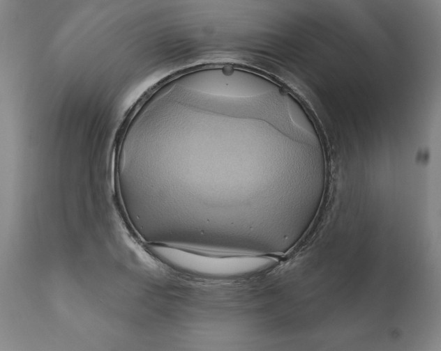 X0000110681127200907021904