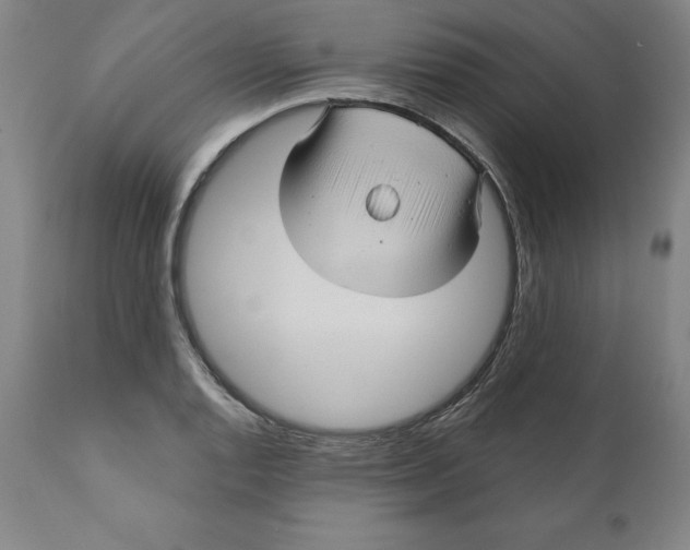 X0000110681128200907021904