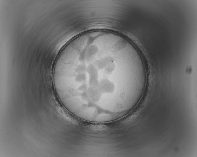 X0000110681129200907021904