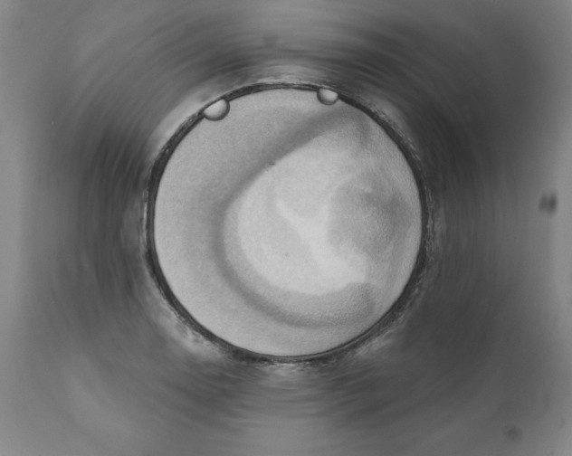 X0000110681130200907021904