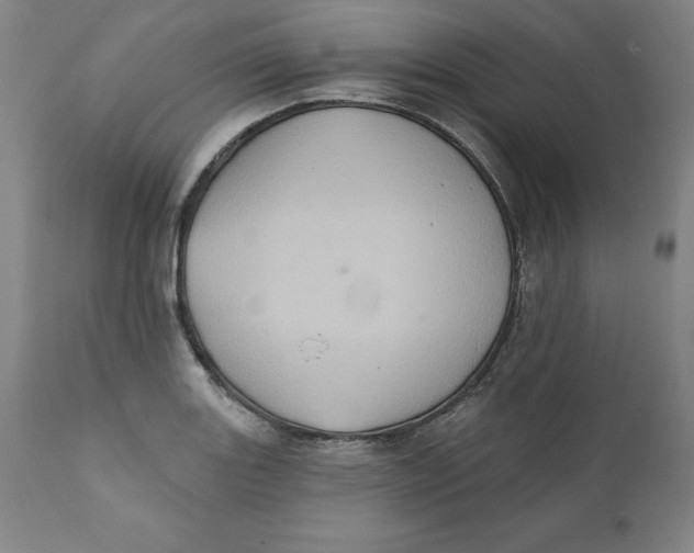 X0000110681131200907021904