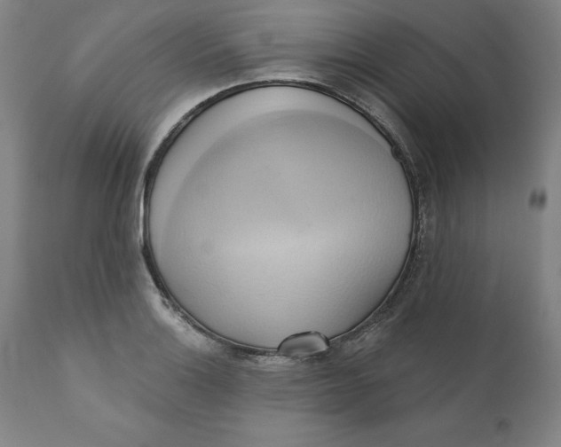 X0000110681132200907021904