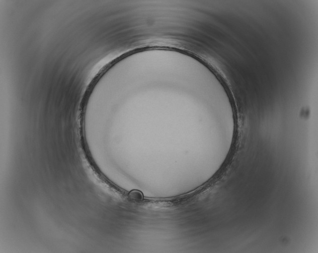 X0000110681133200907021904