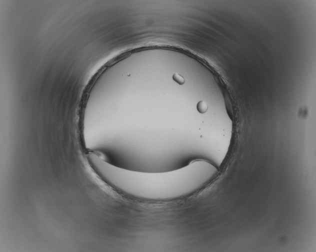 X0000110681134200907021904