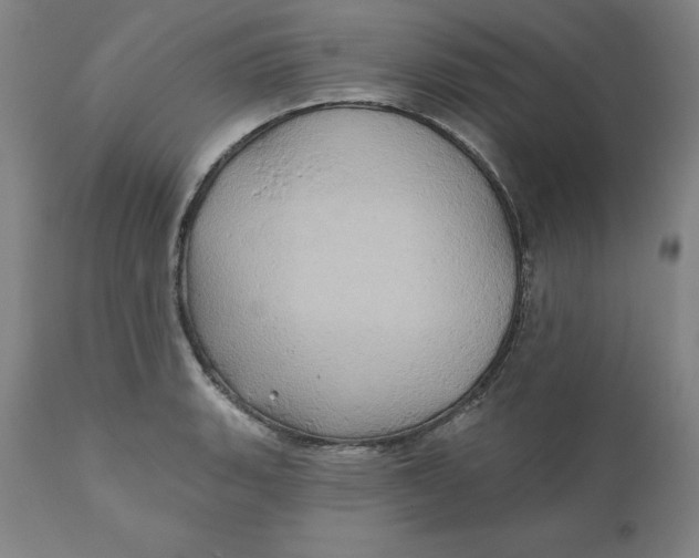 X0000110681135200907021904