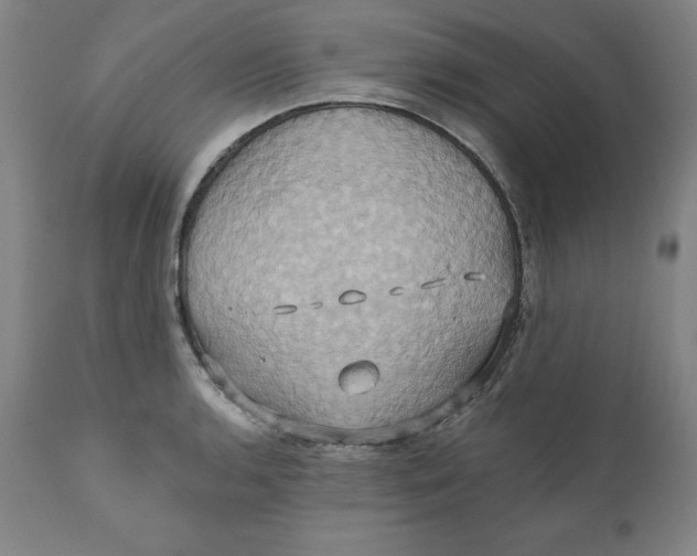 X0000110681136200907021904