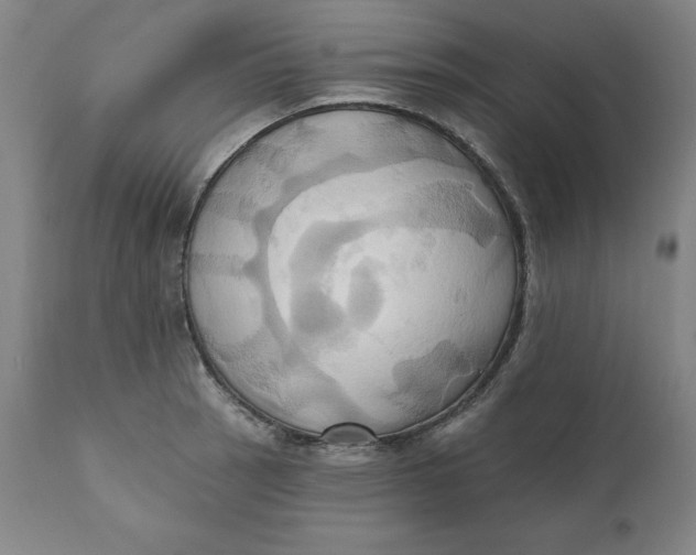 X0000110681137200907021904