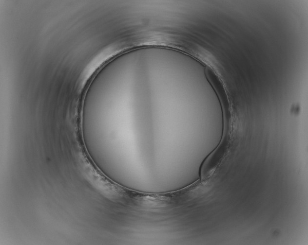 X0000110681138200907021904