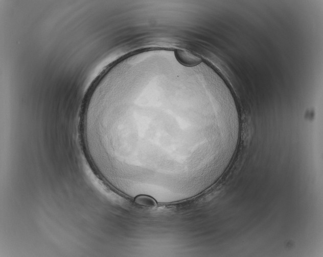 X0000110681139200907021904