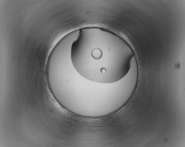 X0000110681140200907021904