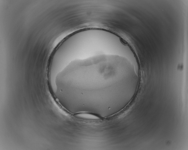 X0000110681141200907021904