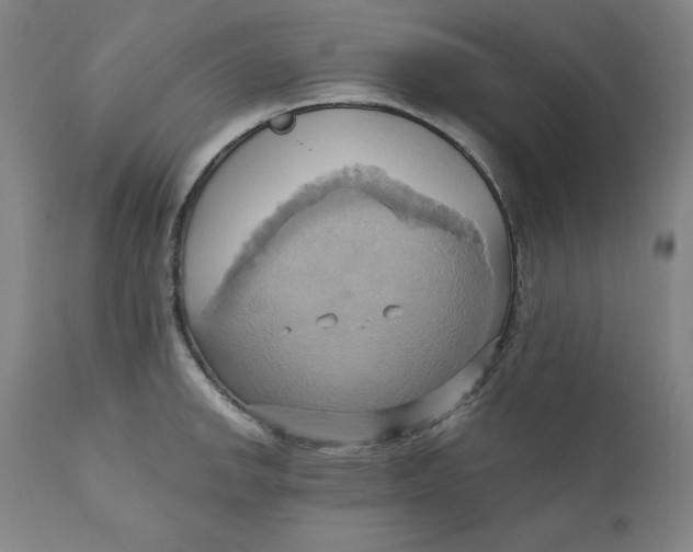 X0000110681142200907021904