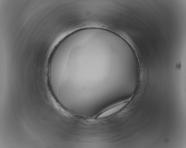 X0000110681144200907021904