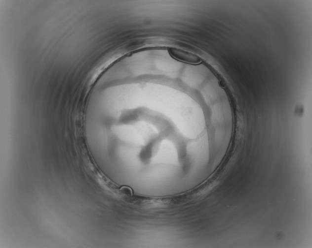 X0000110681145200907021904