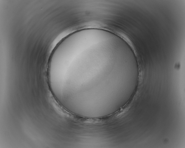 X0000110681146200907021904