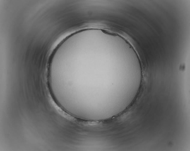 X0000110681147200907021904