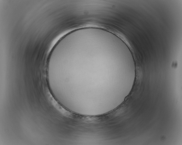 X0000110681148200907021904