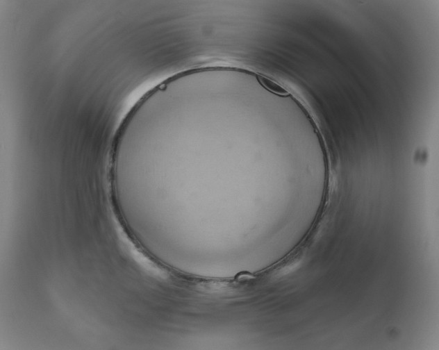 X0000110681149200907021904