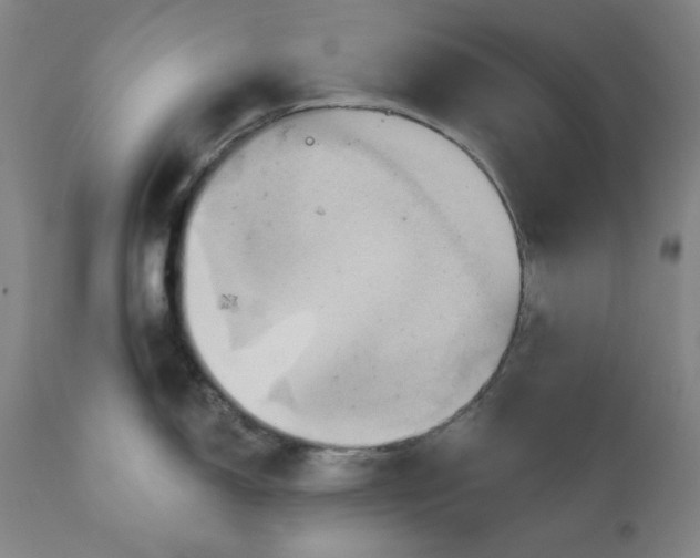 X0000110681150200907021904