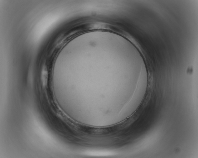 X0000110681151200907021904