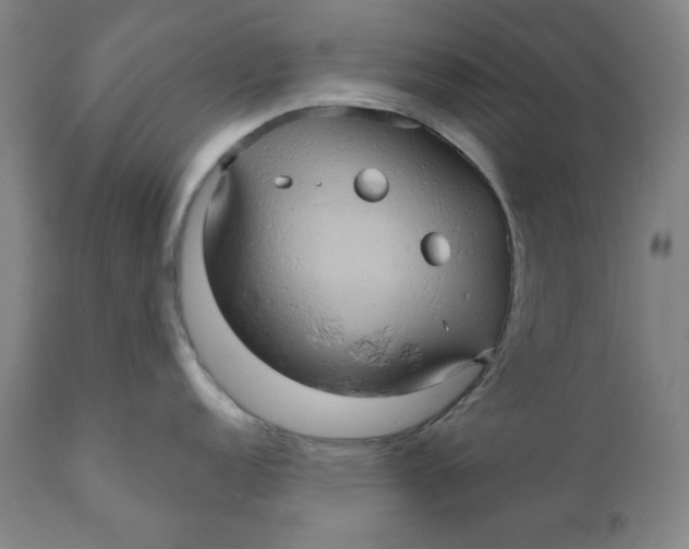 X0000110681152200907021904