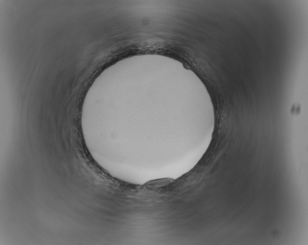 X0000110681153200907021903