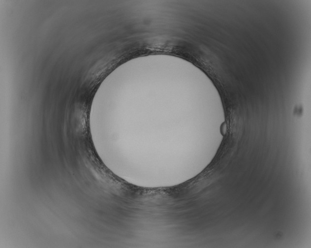 X0000110681154200907021903