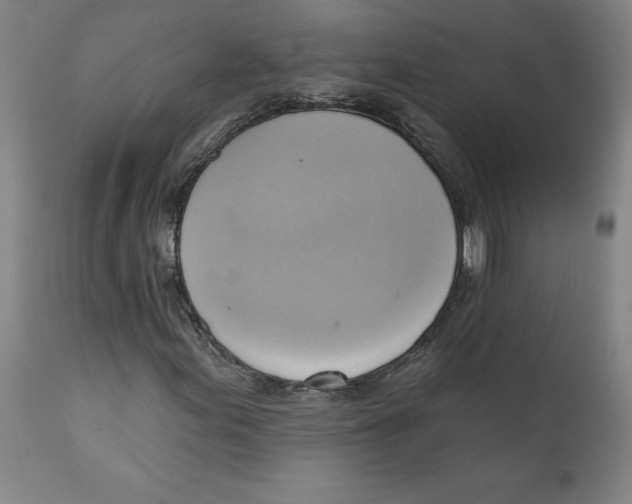 X0000110681155200907021903