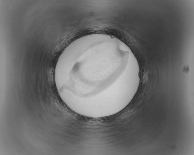 X0000110681156200907021903