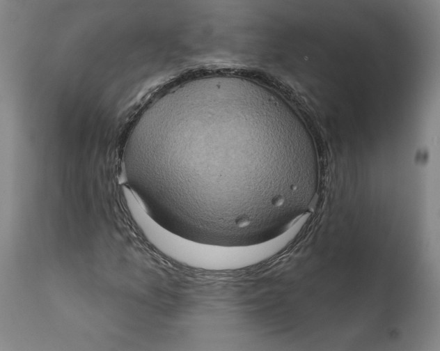 X0000110681157200907021903