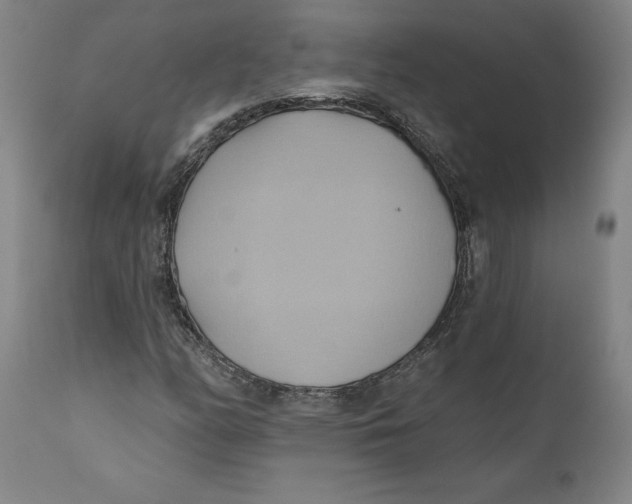 X0000110681158200907021903